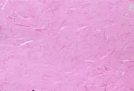 爱游戏体育-欧洲女足现状